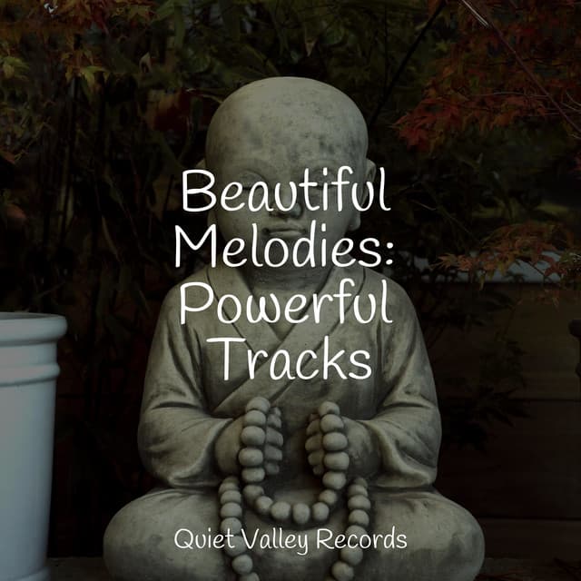 Beautiful Melodies: Powerful Tracks - Lightning