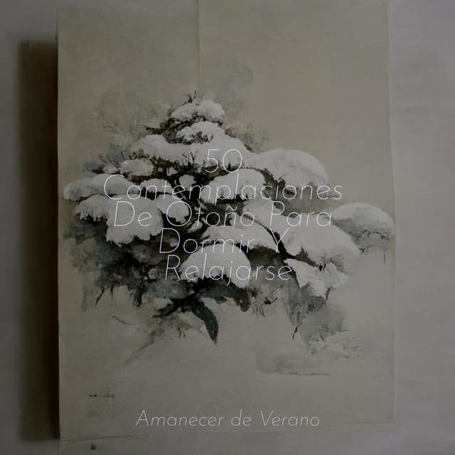 50 Contemplaciones De Otoño Para Dormir Y Relajarse - Sleep Sound Library