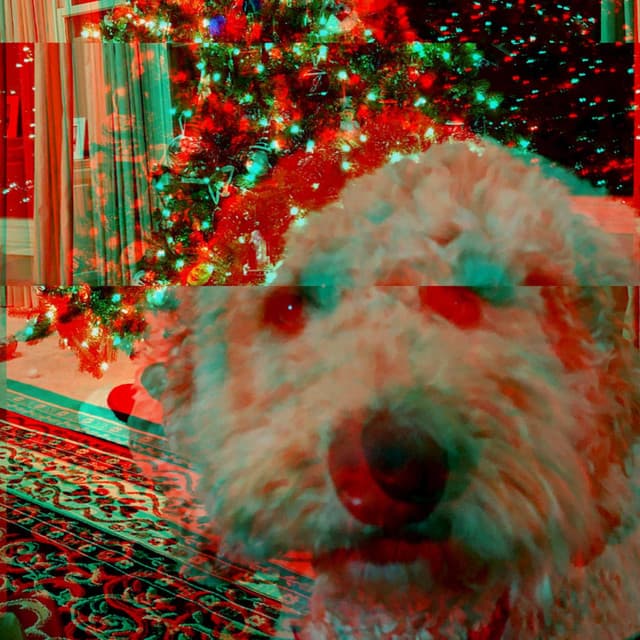 Feelings for Puppy Fun - Dog Sleeping Soundtracks Deluxe