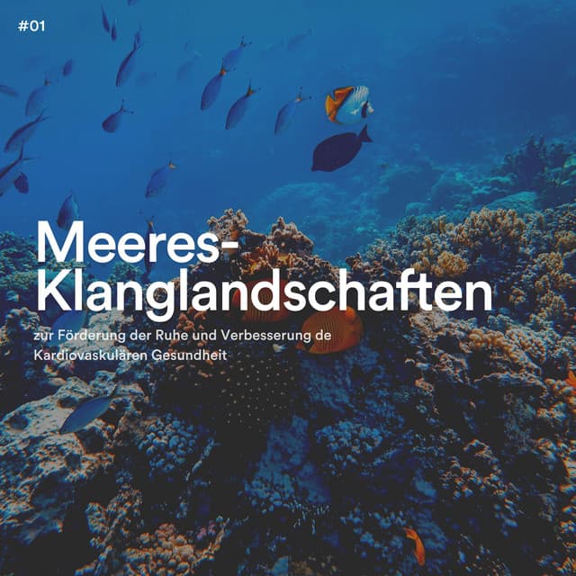 #01 Meeres-Klanglandschaften zur Förderung der Ruhe und Verbesserung der Kardiovaskulären Gesundheit - Meeresgeräusche