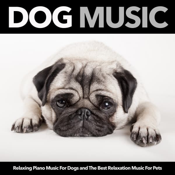 Dog Music: Relaxing Piano Music For Dogs and The Best Relaxation Music For Pets - Dog Music