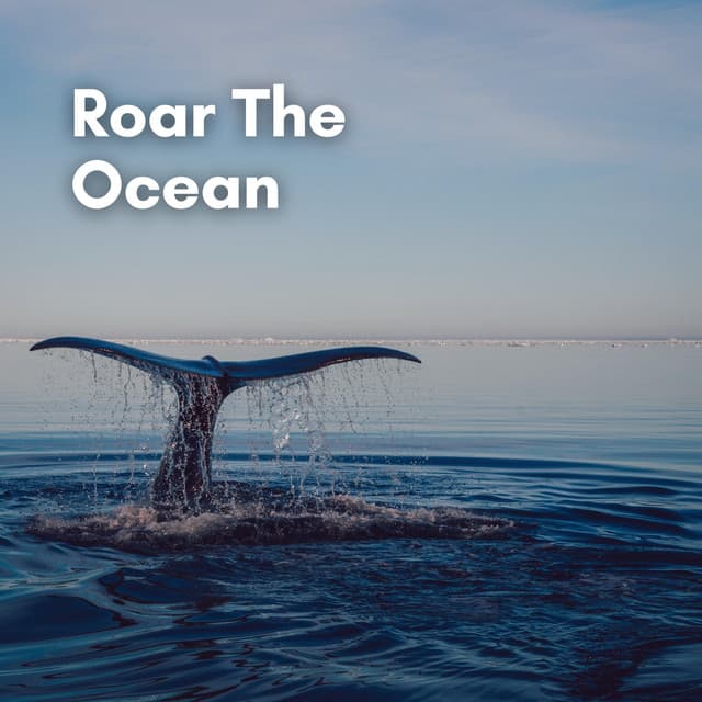 Roar the Ocean - Ocean in HD