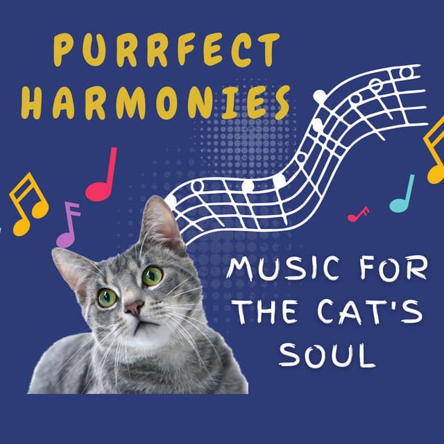 Purrfect Harmonies - Music for the Cat's Soul - ABC Tonnerre