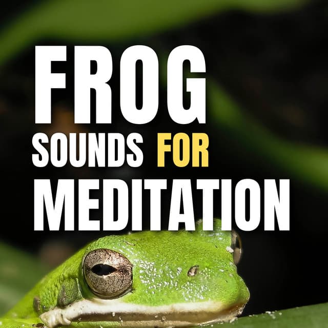 Frog Sounds for Meditation - Frog Sounds
