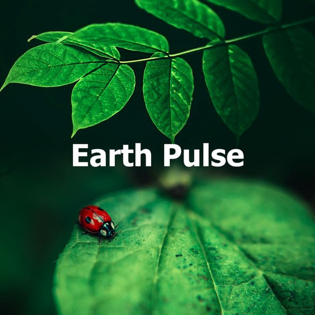 Earth Pulse - Ruido y Naturaleza