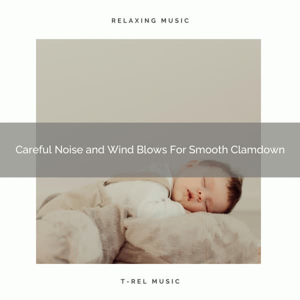 Careful Noise and Wind Blows For Smooth Clamdown - Astral Noise