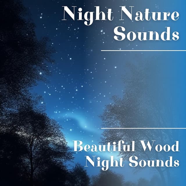 Beautiful Wood Night Sounds - Night Nature Sounds