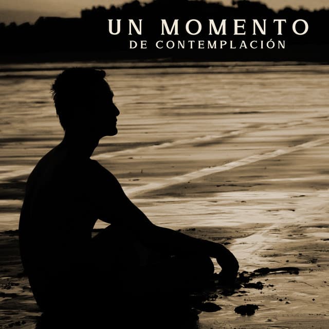 Un Momento de Contemplación: Meditación Zen para la Paz de la Mente - Meditación Budista Academia
