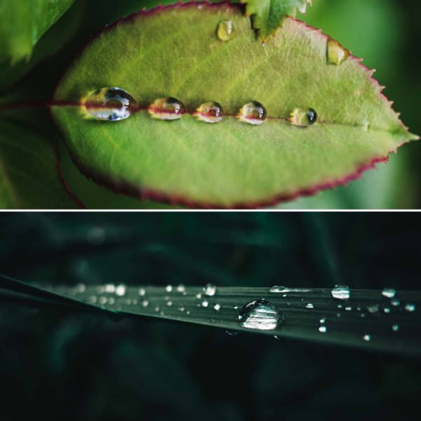 Feelings for Thrilling Thursdays - Playlist for Early Morning Chill Out