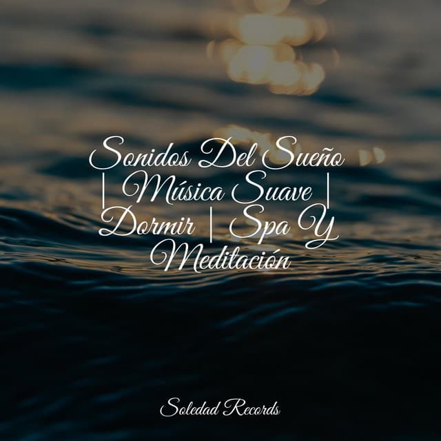 Sonidos Del Sueño | Música Suave | Dormir | Spa Y Meditación - Música a Relajarse