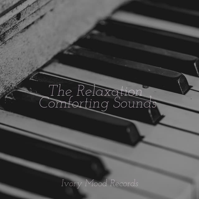 The Relaxation Comforting Sounds - Ivory Mood