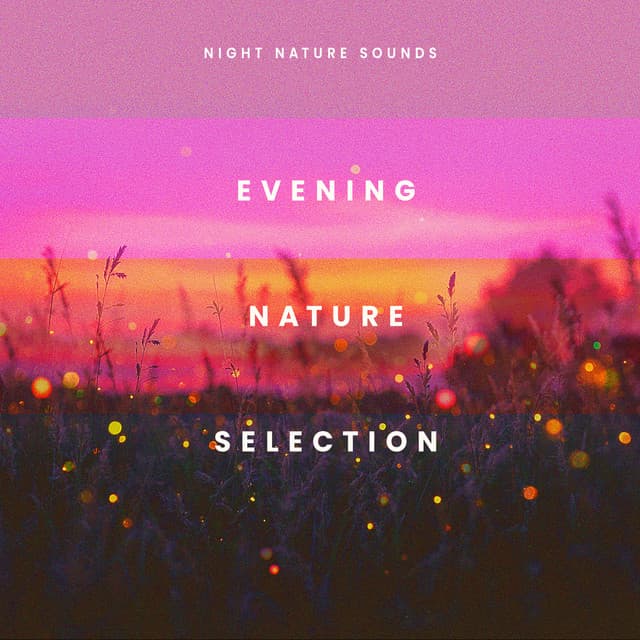 Evening Nature Selection - Night Nature Sounds