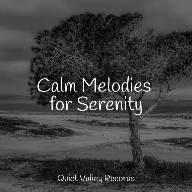Calm Melodies for Serenity - Rain Spa