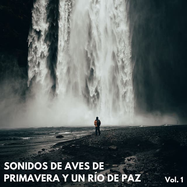 Sonidos De Aves De Primavera Y Un Río De Paz Vol. 1 - Sonidos y susurros de la naturaleza