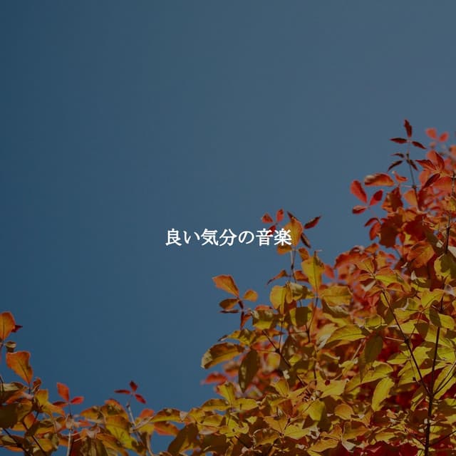 Musica de Trabajo Ritmos