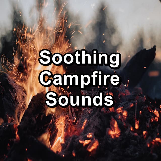 Sleep Sounds of Nature & Campfire Sounds