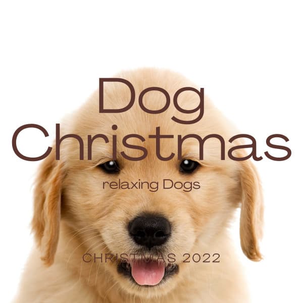 2022 Dog Christmas - Dog Music Waves