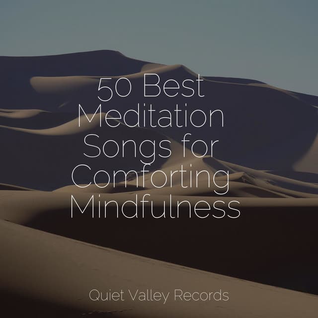 50 Best Meditation Songs for Comforting Mindfulness - Water Spa