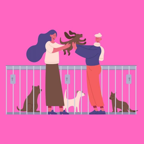 Quintet Jazz - Music for Your Perfect Pooch - Calma Música para Perros