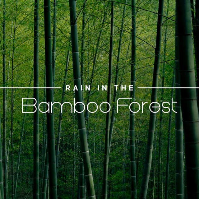 Rain in the Bamboo Forest - Máire - Marie Anderson