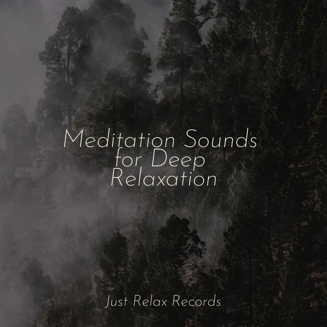 Meditation Sounds for Deep Relaxation - Relajación