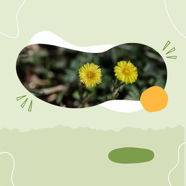 Understated Bgm for Rejuvenating Seasons - Restaurant Jazz Music Universe