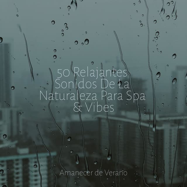 50 Relajantes Sonidos De La Naturaleza Para Spa & Vibes - Rumbas de España