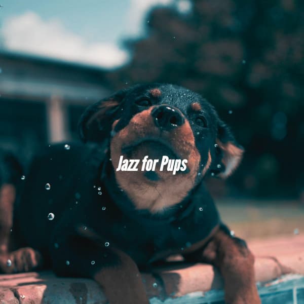 Jazz for Pups - Chill Cafe Music