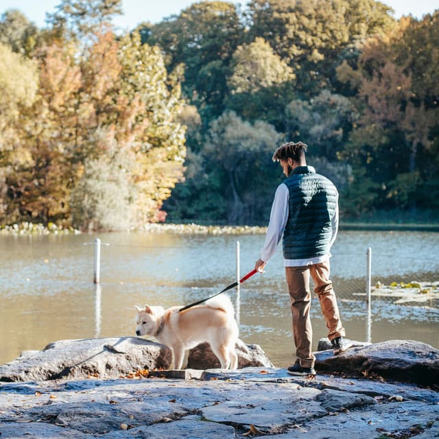 Blissful Waterscape Dog: Binaural Canine Companionship Waves - Binaural Beats Solutions