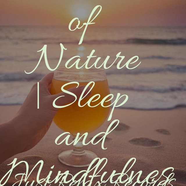 Soothing Sounds of Nature | Sleep and Mindfulness - Relaxing Mindfulness Meditation Relaxation Maestro