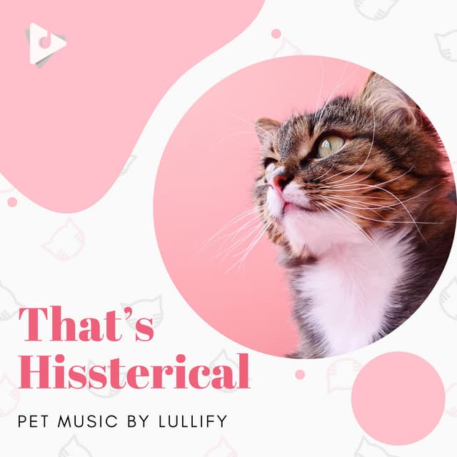 That’s Hissterical - Pet Music by Lullify
