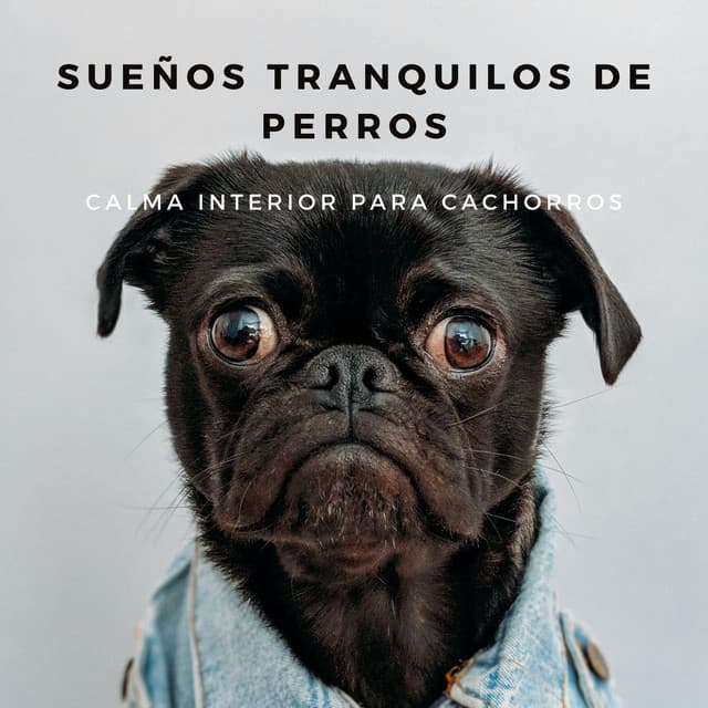 Perros relajantes
