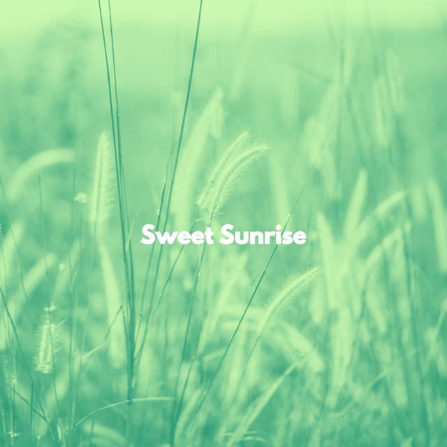 Sweet Sunrise - Jazz para Oficinas