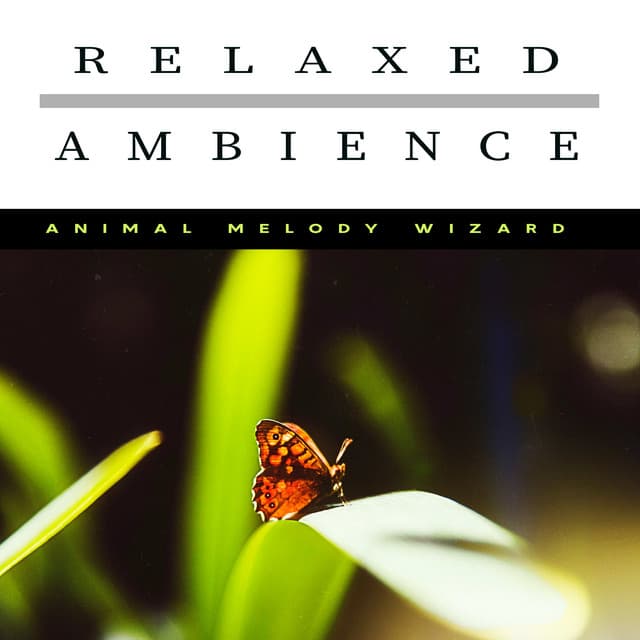 Relaxed Ambience - Animal Melody Wizard