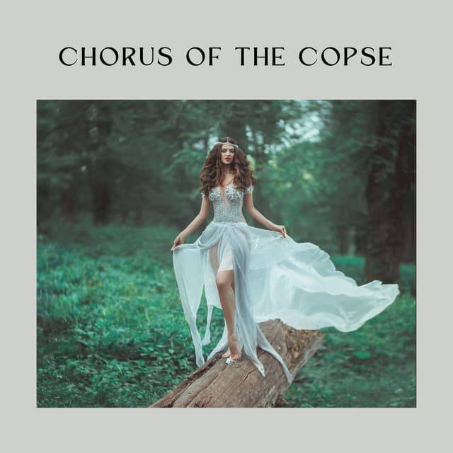 Chorus of the Copse - Nature Sleep