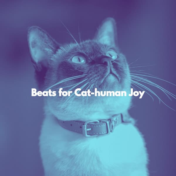 Beats for Cat-human Joy - Dinner Music Luxury
