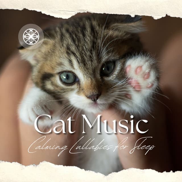 Cat Music - Calming Lullabies for Sleep - RelaxMyCat