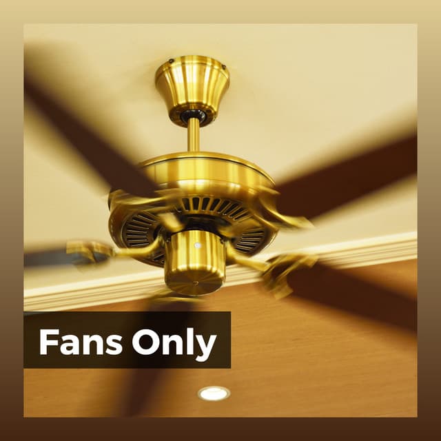 Fans Only - Fan Sounds For Sleep