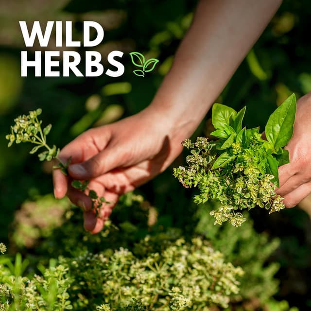 Wild Herbs - Mother Nature Sound FX