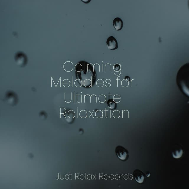 Calming Melodies for Ultimate Relaxation - Dormir