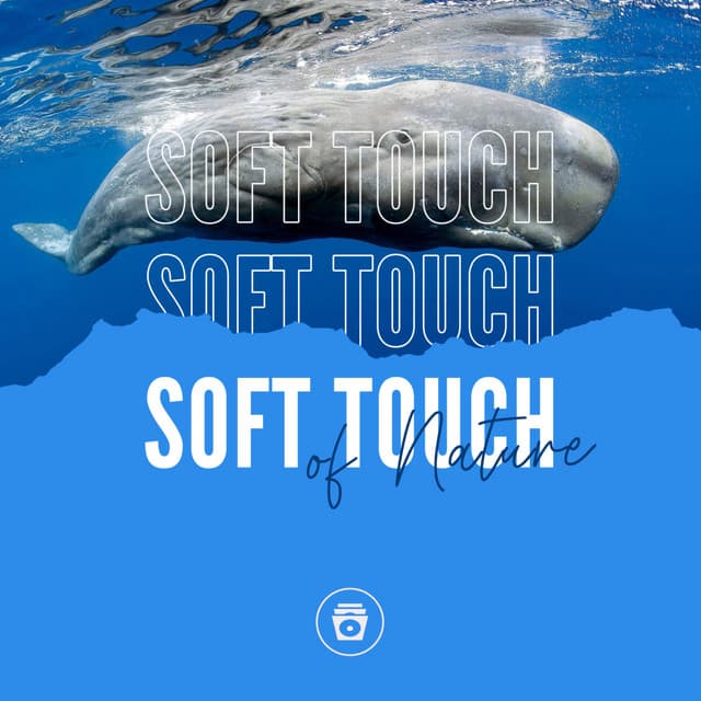 Soft Touch Of Nature - Ocean Sounds