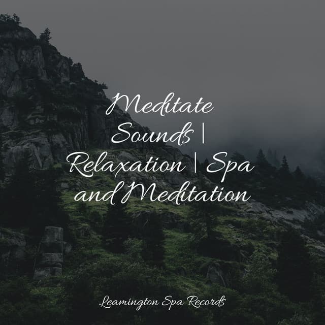 Meditate Sounds | Relaxation | Spa and Meditation - Deep Focus