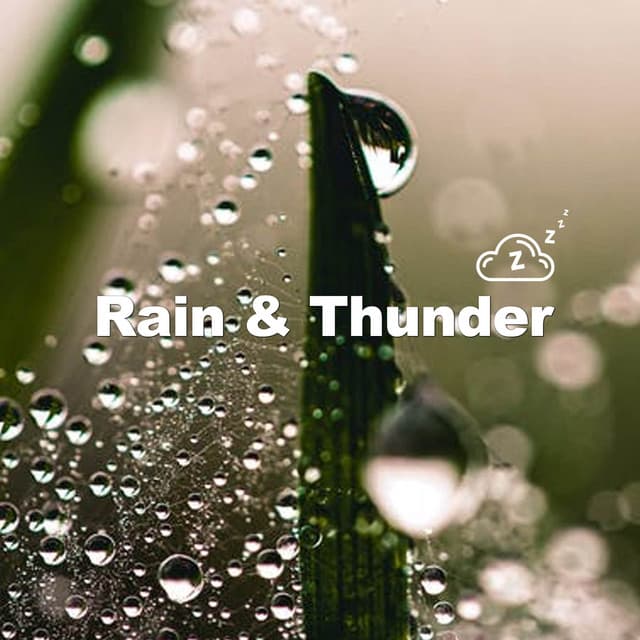 Steady Rainfall - Rain & Thunder