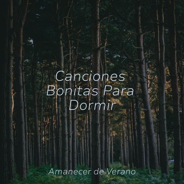 Canciones Bonitas Para Dormir - Instrumental