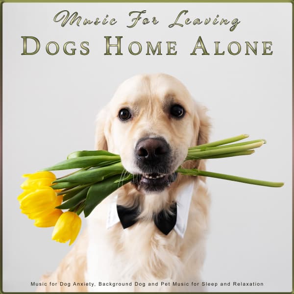 Sleeping Music For Dogs