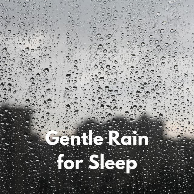 Gentle Rain for Sleep - VDWW