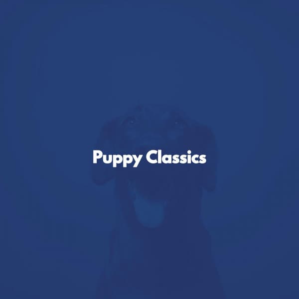 Puppy Classics - Jazz for A Rainy Day