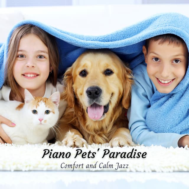 Piano Pets' Paradise: Comfort and Calm Jazz - Piano Jazz Calming Music Academy