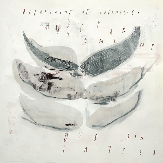 Department of Entomology - Teun Verbruggen