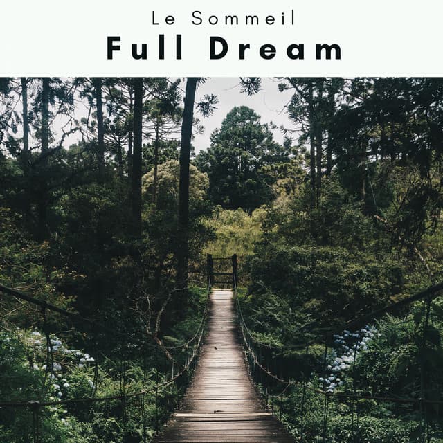 1 0 1 Full Dream - Le Sommeil